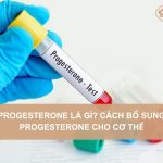 Cach-bo-sung-progesterone-cho-co-the