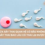 Vua-say-thai-quan-he-co-bau-khong