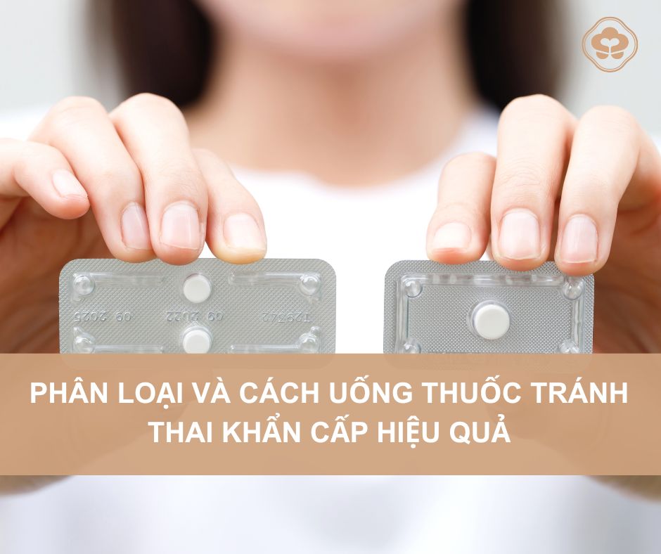 Phan-loai-thuoc-tranh-thai-khan-cap