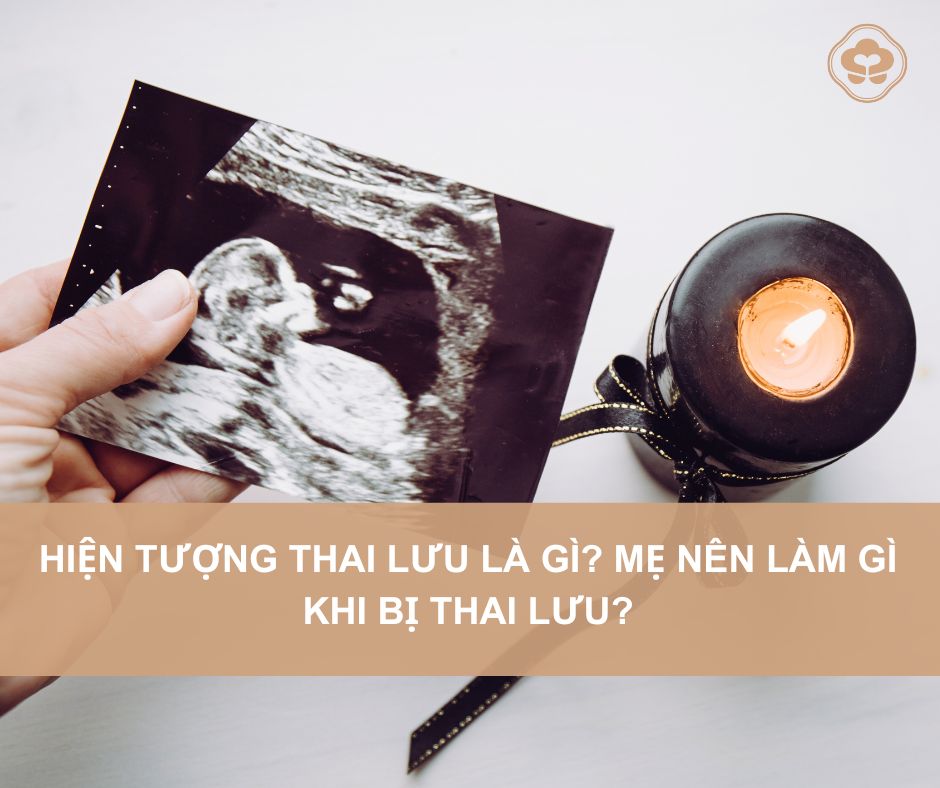 Hiện Tượng Thai Lưu: Dấu Hiệu, Nguyên Nhân và Phương Pháp Phòng Ngừa Thai-luu