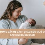 O-cu-sau-sinh-dung-cach