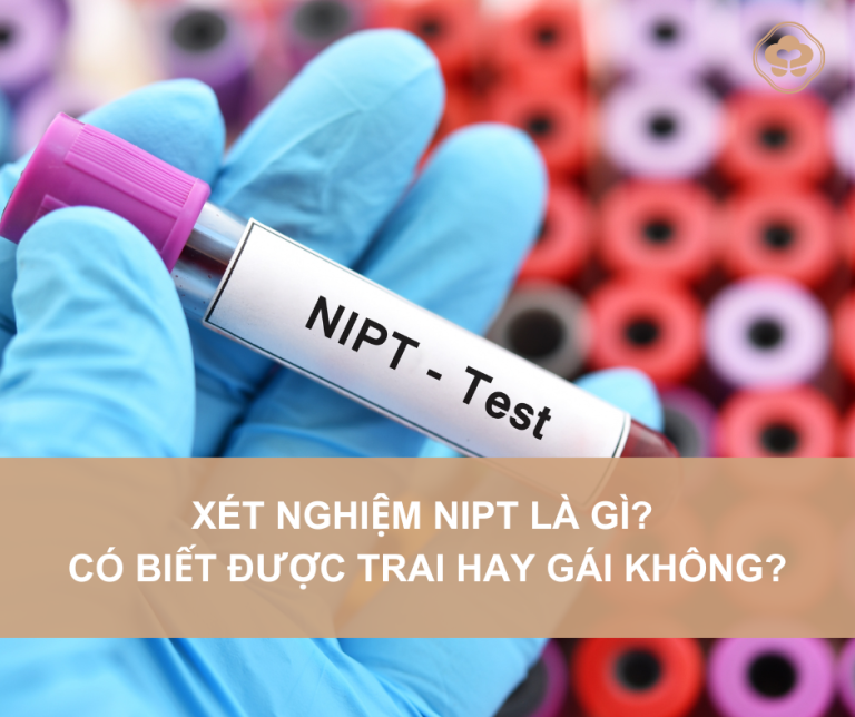 Xét nghiệm NIPT là gì? Có biết được trai hay gái không?