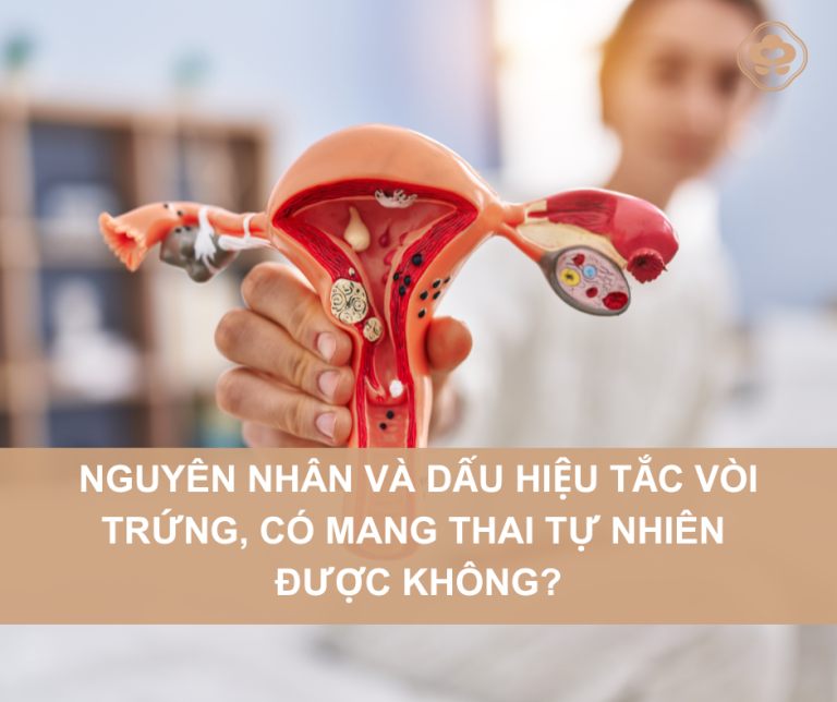 tắc vòi trứng